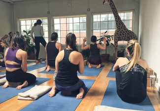 Sky Ting Yoga à New York City